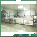 Strawberry LPT model blanching machine